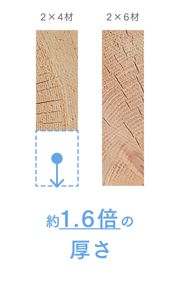 約1.6倍の厚さ